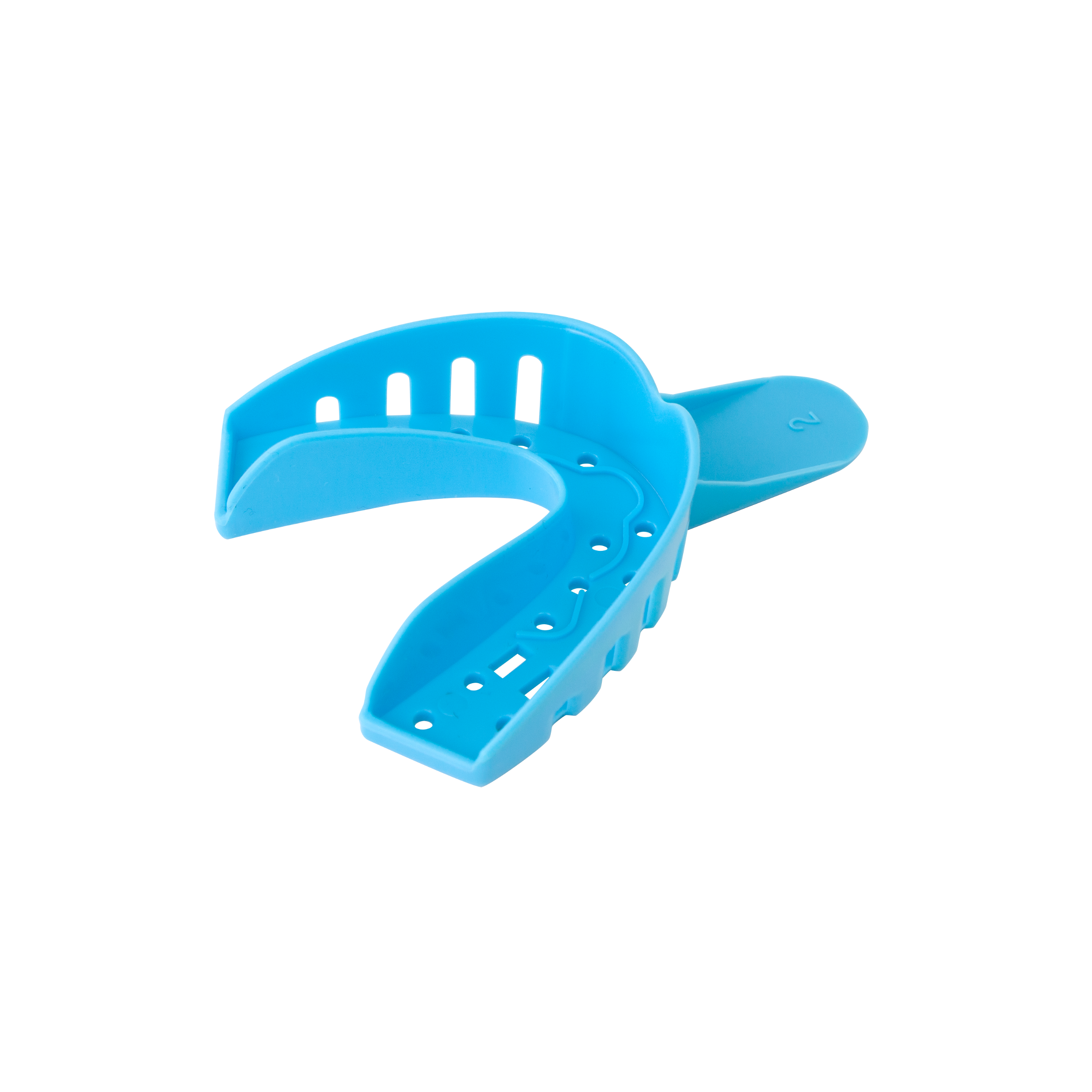 Impression Trays No 2, Large Lower