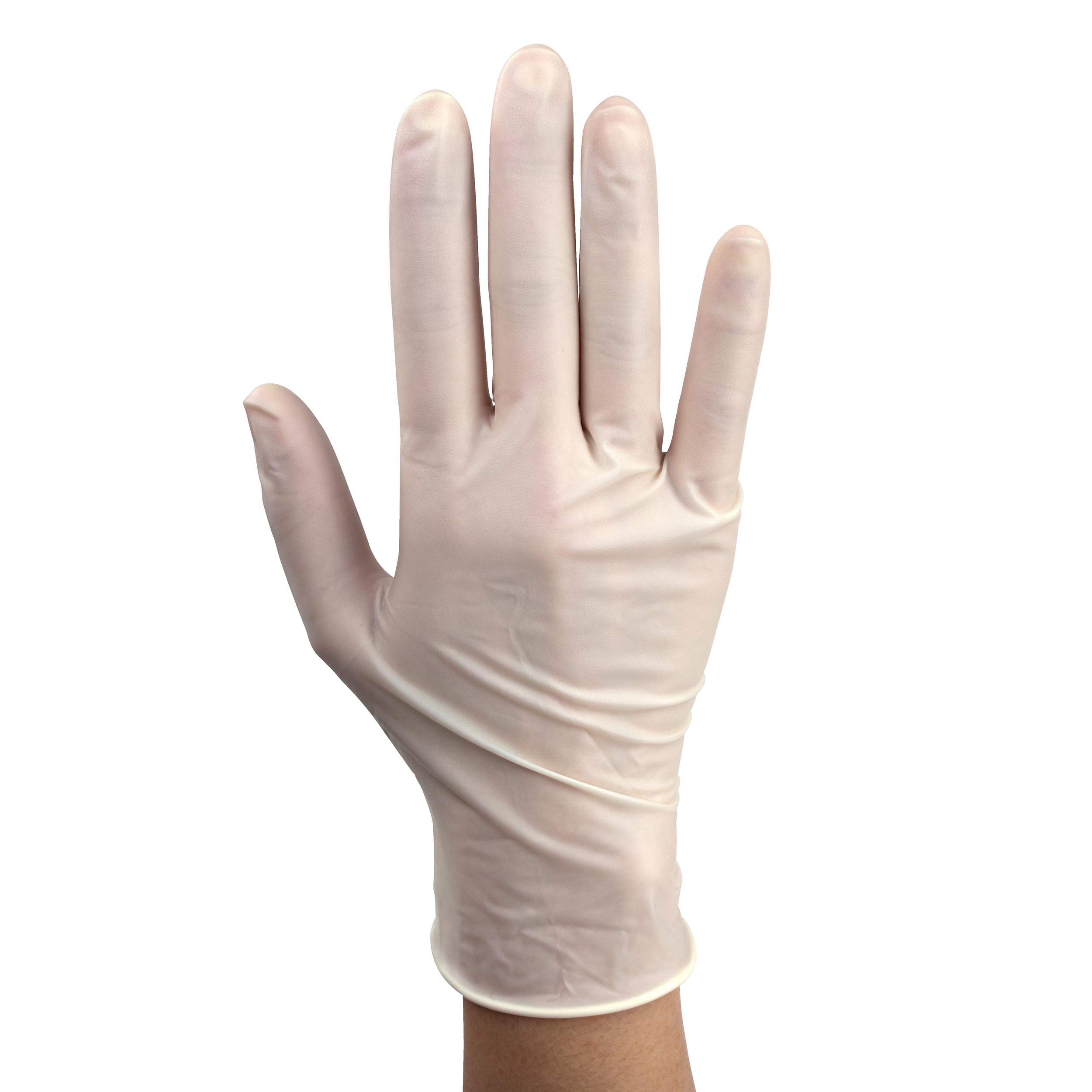 Powder-Free Plus Latex Exam Gloves – S